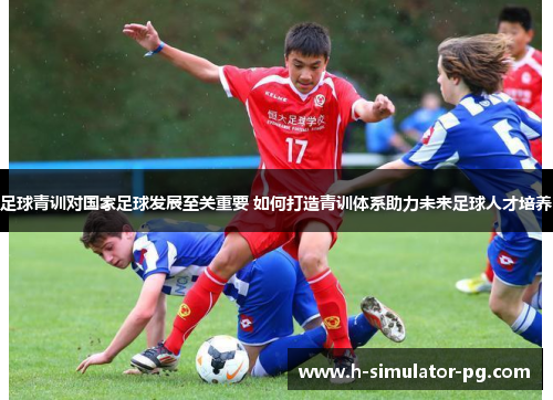 足球青训对国家足球发展至关重要 如何打造青训体系助力未来足球人才培养